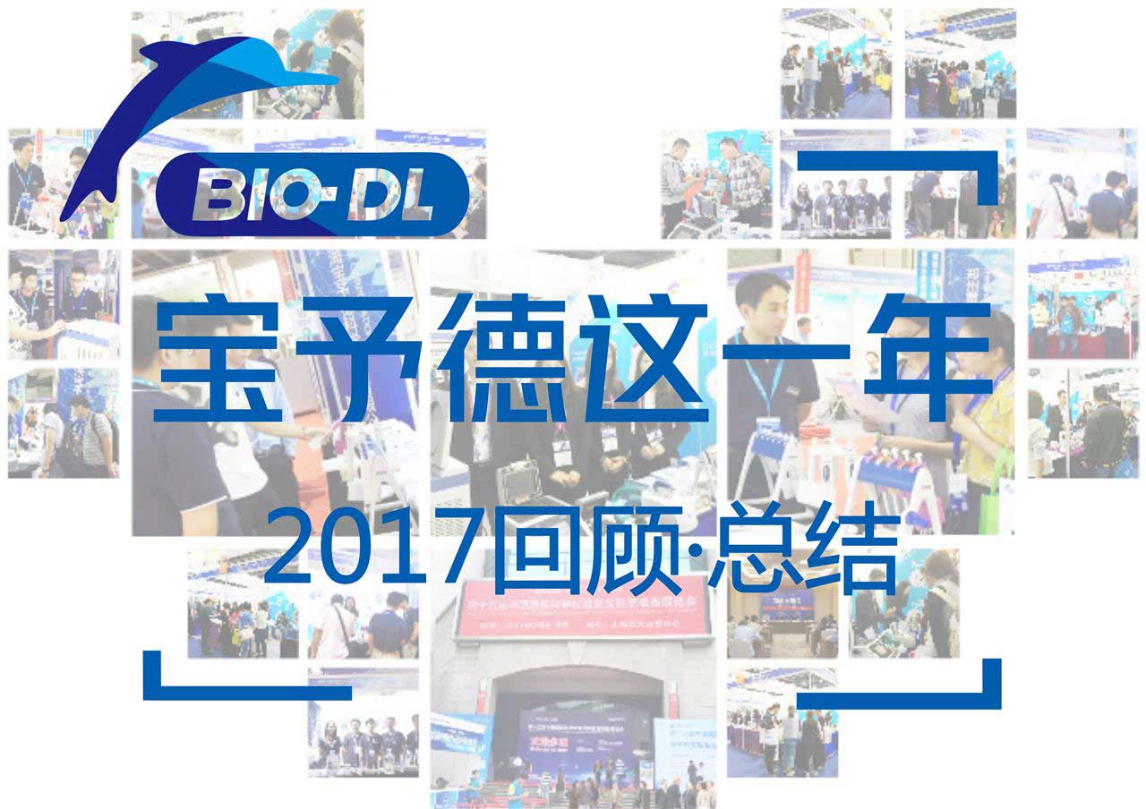 寶予德這一年：共襄盛舉 大“展”宏圖 